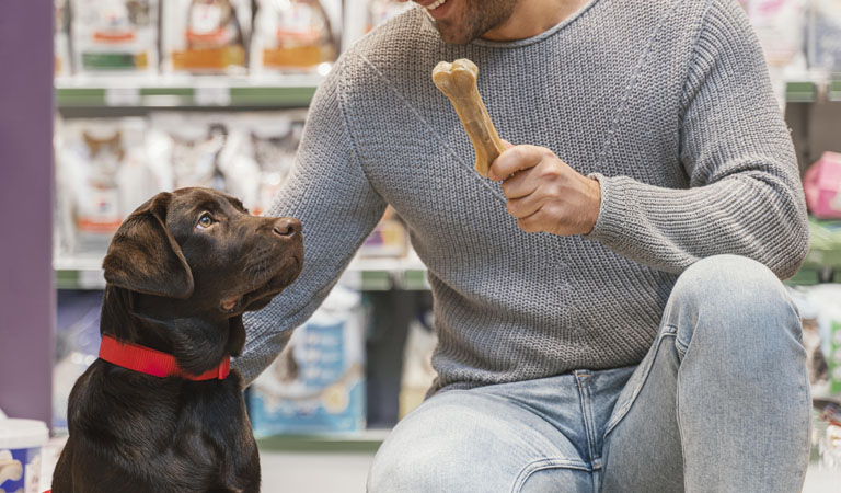 Pet Gatô - Clínica Veterinária e Pet Shop